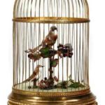 Singing birds in a cage automaton